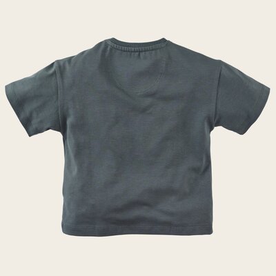 Z8-MINI-_0001_Sale-Gilberto-back