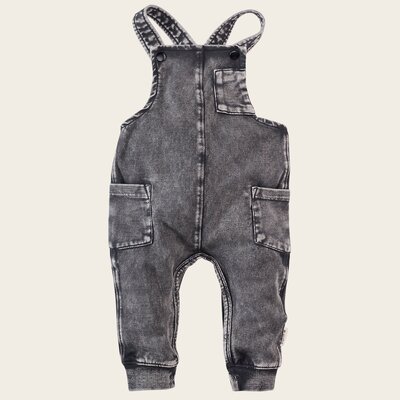 z8-essentials0009taed